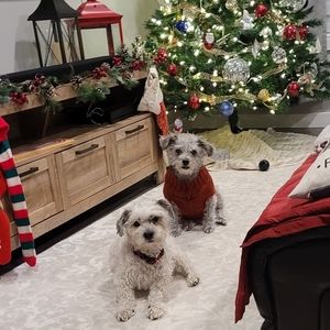 Meet your Posher, Stacy